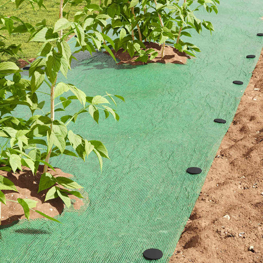 Picchetti in plastica 100 pcs Nero 3 x 11 cm Plastica 4009763