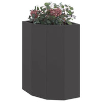 Vaso d'angolo Nero 30 x 30 x 50 cm Acciaio 883675