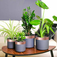 vidaXL Nastro di rame doppio lato Rame 2000 x 5 cm