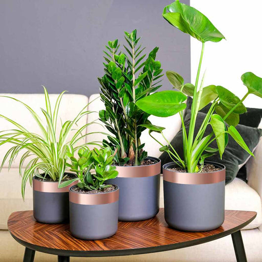 vidaXL Nastro di rame doppio lato 6 pezzi 6 pcs Rame 2000 x 5 cm