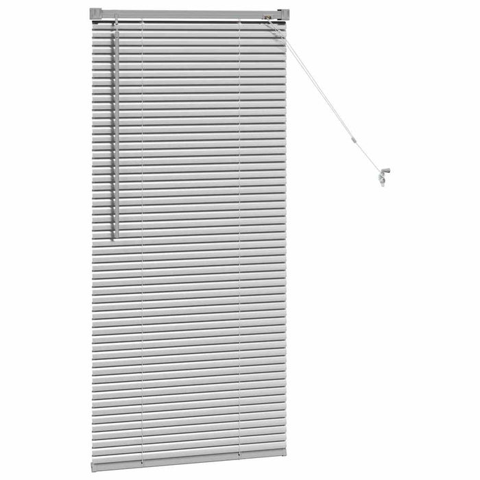 Tenda per Finestra con tende Argento 60 x 130 cm Alluminio 42005889