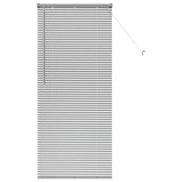 Tenda per Finestra con tende Argento 80 x 175 cm Alluminio 42005918