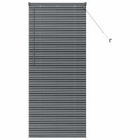 Tenda per Finestra con tende Altro Grigio scuro 80 x 130 cm Alluminio 42006066