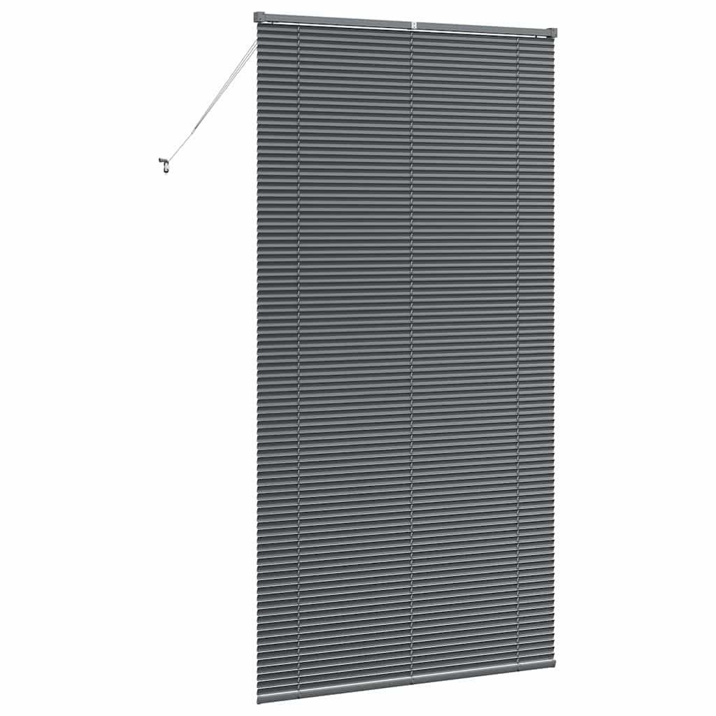 Tenda per Finestra Grigio scuro 120 x 220 cm Alluminio 42006101