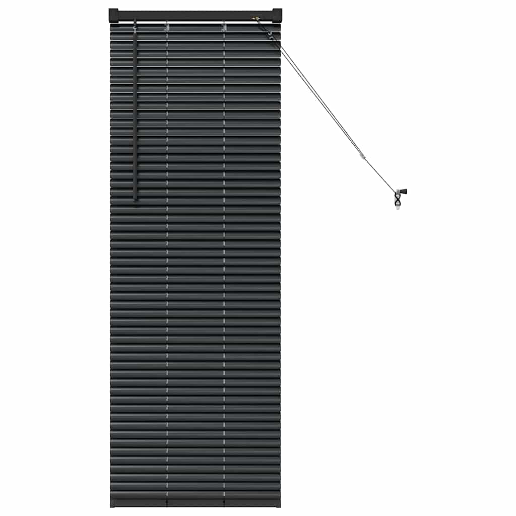 Tenda per Finestra con tende Altro Nero 80 x 130 cm Alluminio 42006112