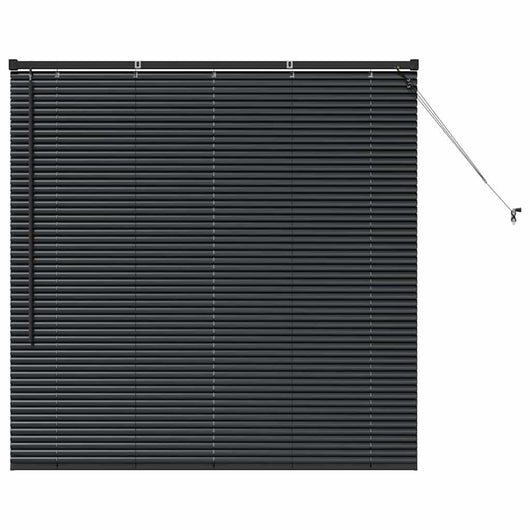 Tenda per Finestra con tende Altro Nero 80 x 130 cm Alluminio 42006127