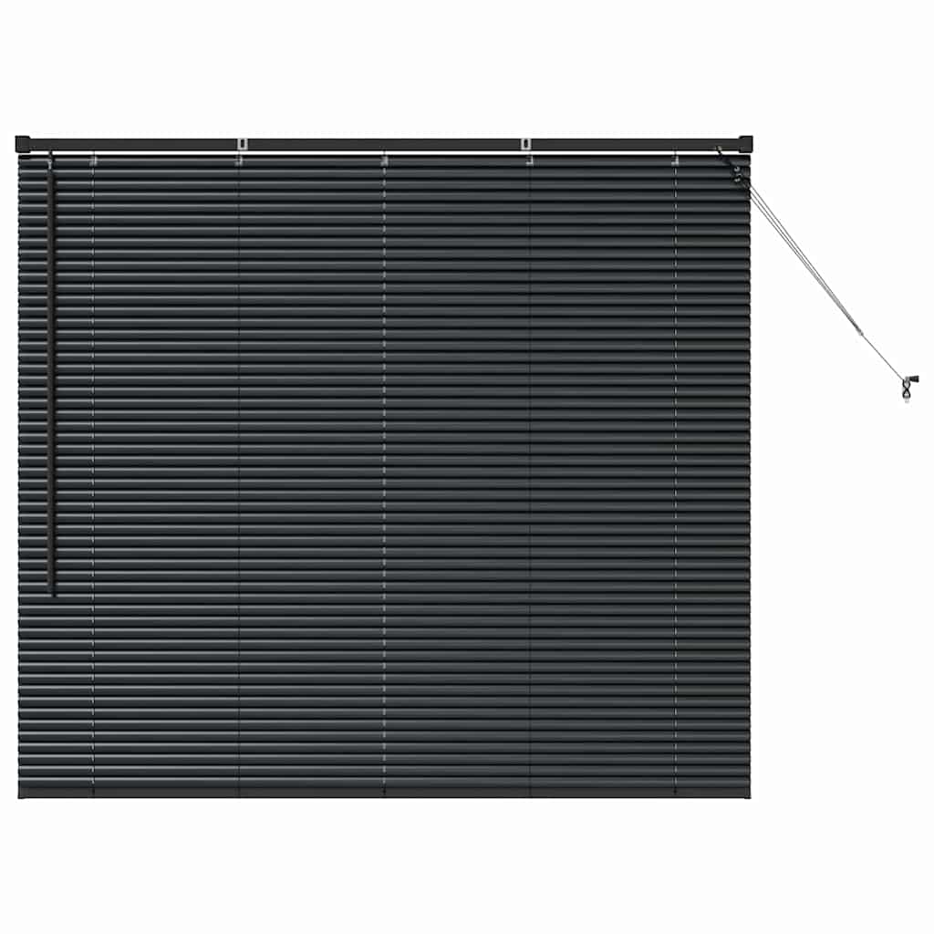 Tenda per Finestra con tende Altro Nero 80 x 130 cm Alluminio 42006131