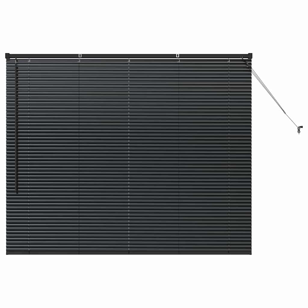 Tenda per Finestra con tende Altro Nero 80 x 130 cm Alluminio 42006134