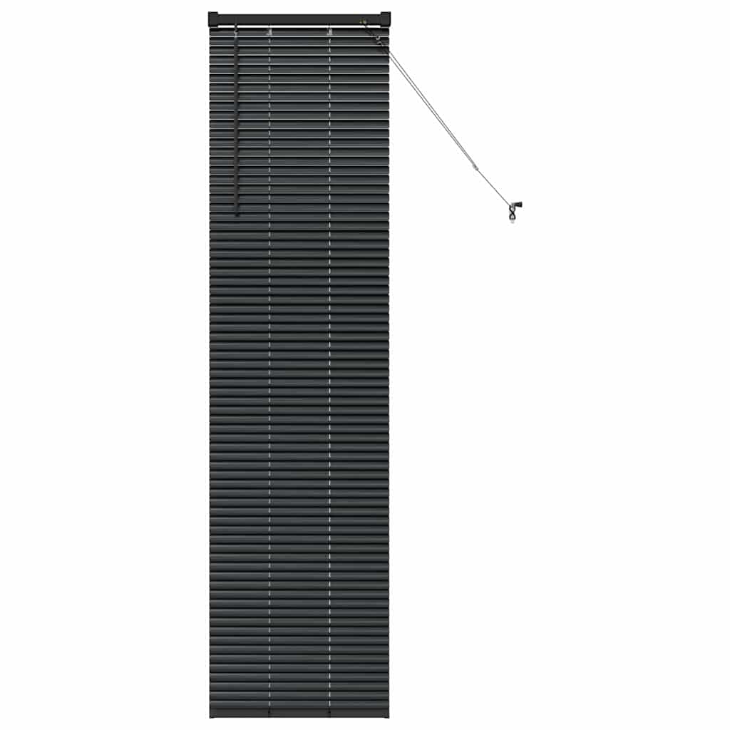 Tenda per Finestra con tende Altro Nero 80 x 130 cm Alluminio 42006136