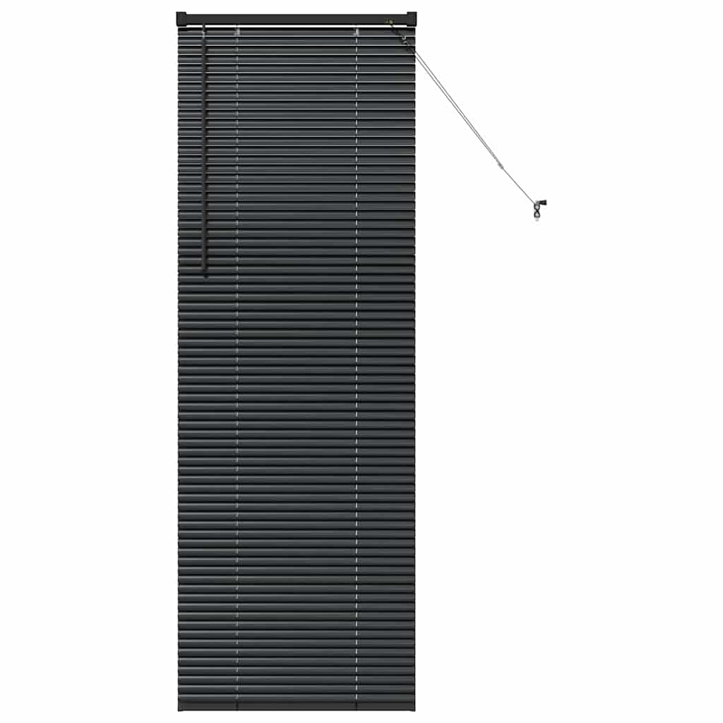 Tenda per Finestra con tende Altro Nero 80 x 130 cm Alluminio 42006138