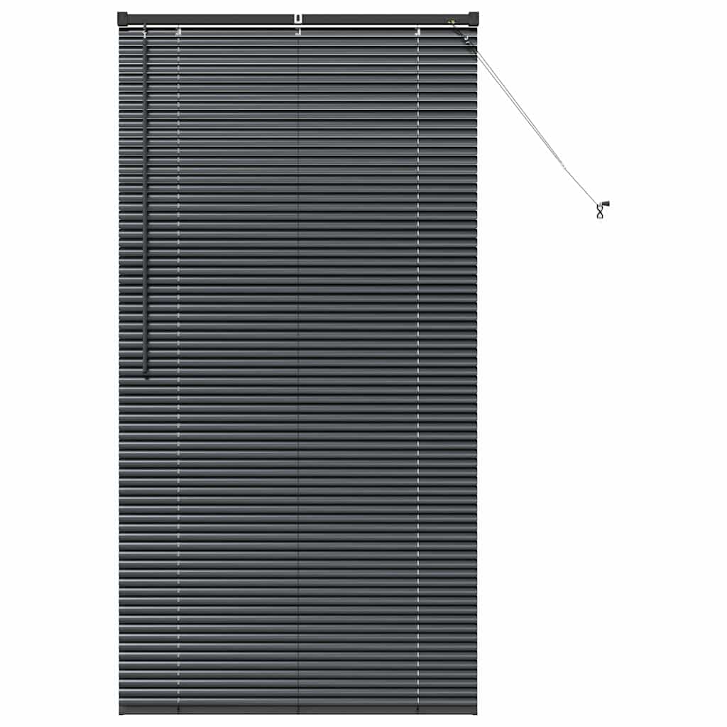 Tenda per Finestra con tende Altro Nero 80 x 130 cm Alluminio 42006146