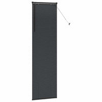 Tenda per Finestra con tende Altro Nero 60 x 220 cm Alluminio 42006164