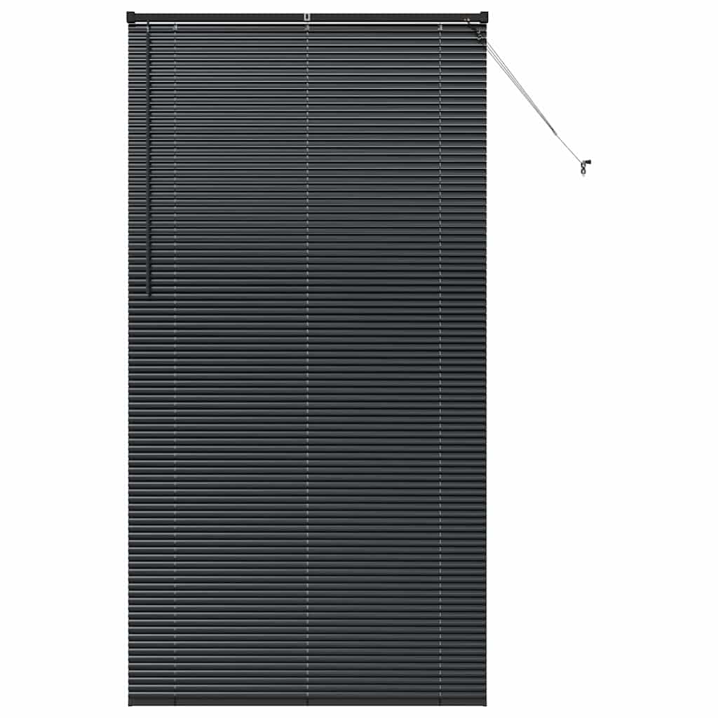 Tenda per Finestra con tende Altro Nero 120 x 220 cm Alluminio 42006176