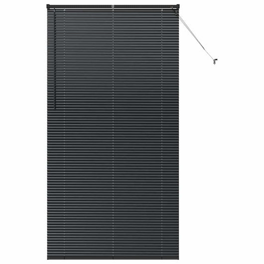 Tenda per Finestra con tende Altro Nero 120 x 220 cm Alluminio 42006176