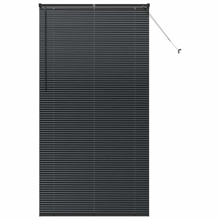 Tenda per Finestra con tende Altro Nero 120 x 220 cm Alluminio 42006176