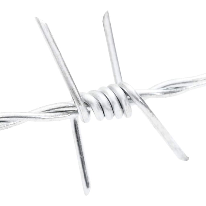 Fil di Ferro Spinato Argento 100 m Acciaio Zincato a Caldo 42010305