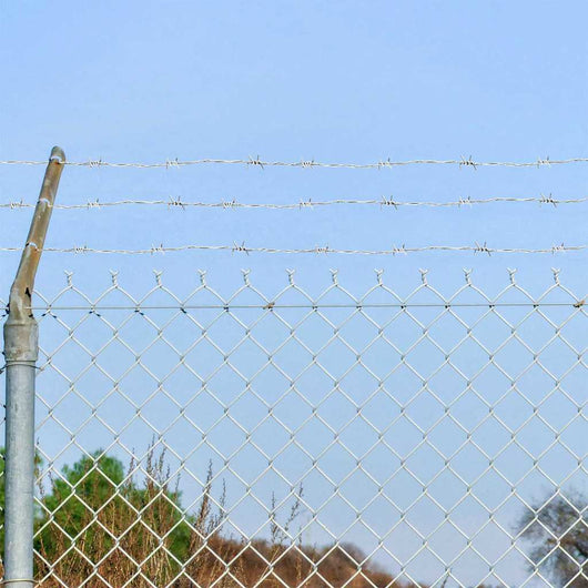 Fil di Ferro Spinato Argento 100 m Acciaio Zincato a Caldo 42010305