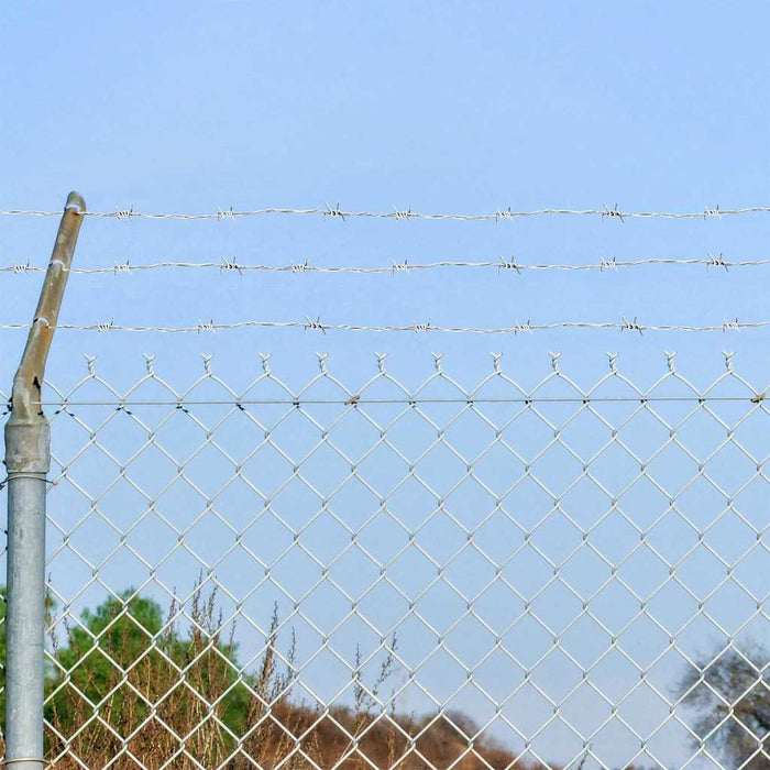 Fil di Ferro Spinato Argento 100 m Acciaio Zincato a Caldo 42010305