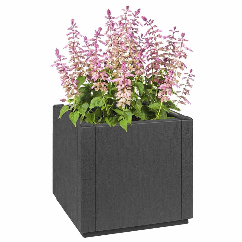Vaso da giardino-Fioriera da Esterno-Contenitore per Piante Antracite 36 x 36 x 35 cm Polipropilene
