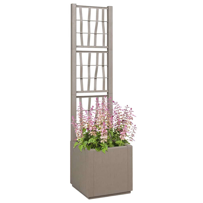Vaso da giardino-Fioriera Esterno-Contenitore per Piante Grigio 36 x 36 x 140 cm Polipropilene