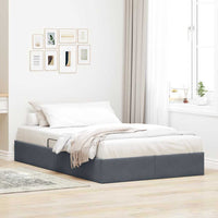 Letto con Contenitore Grigio scuro 120 x 200 cm Velluto 3370083