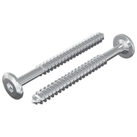 Viti in Legno 2 pcs Argento M6 x 70 mm Acciaio 864388