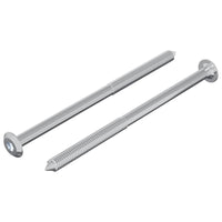 Vite 2 pcs Argento M6 x 100 mm Acciaio 864418