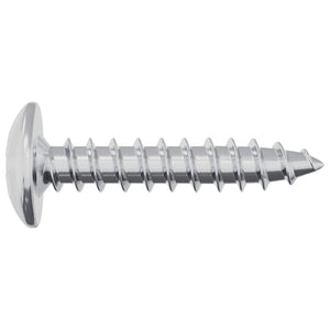 Chiodo autofilettante 2 pcs Zincato 4 x 20 mm Acciaio 864502