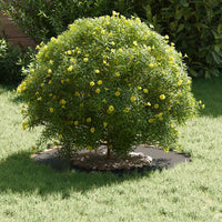 Anello piatto per albero Nero Ø30 / 60 cm Acciaio 873662