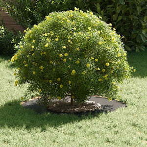 Anello piatto per albero Nero Ø30 / 60 cm Acciaio 873662