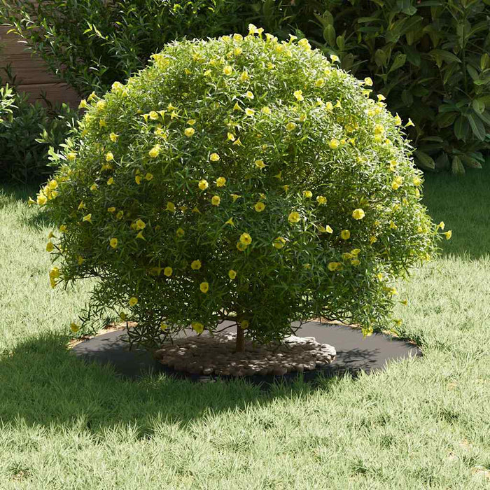 Anello piatto per albero Nero Ø30 / 60 cm Acciaio 873662