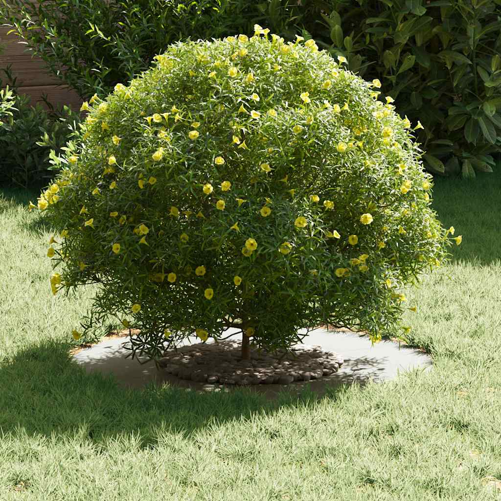 Anello piatto per albero Bianco Ø30 / 60 cm Acciaio 873664