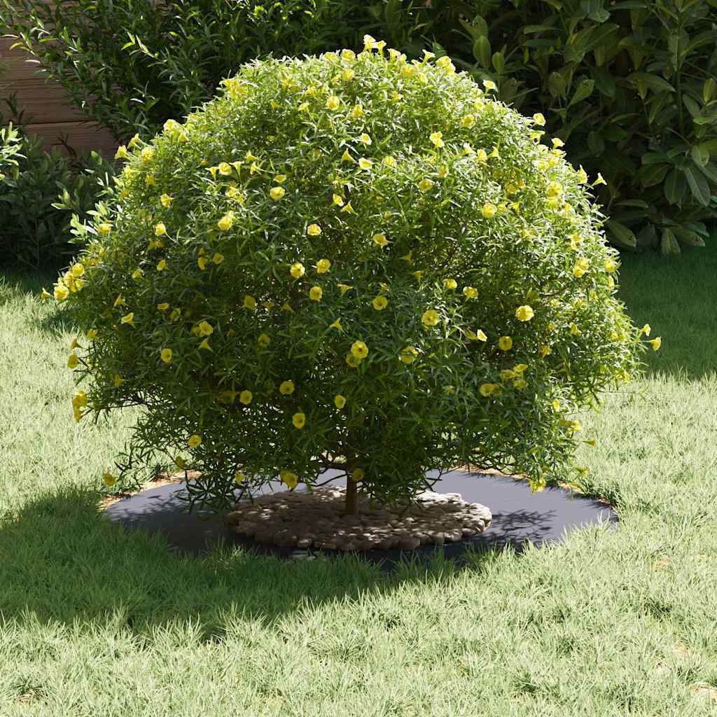 Anelli di Albero Piatto 5 pcs Antracite Ø30 / 60 cm Acciaio 873667