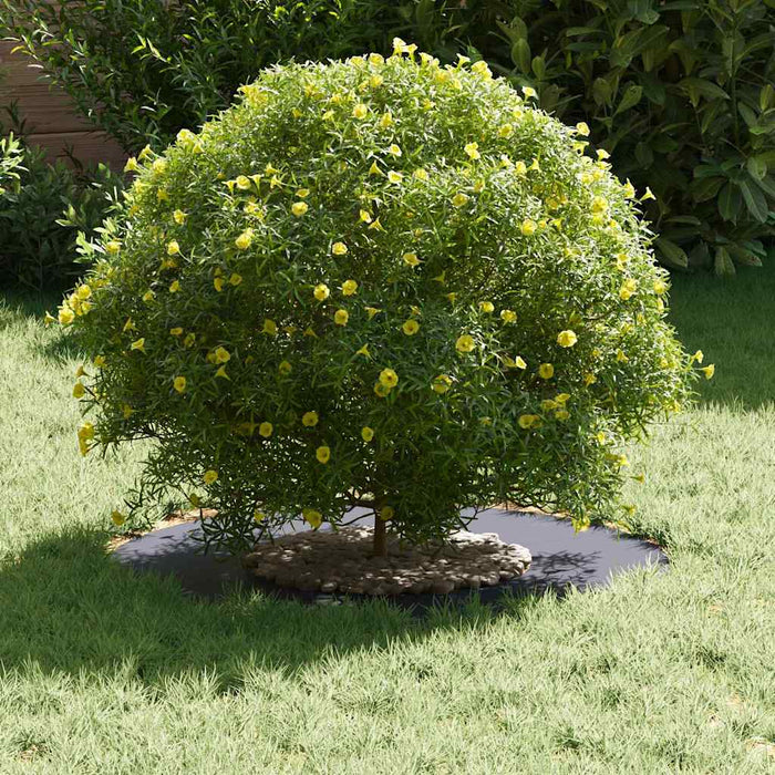 Anelli di Albero Piatto 5 pcs Antracite Ø30 / 60 cm Acciaio 873667