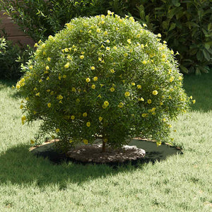 Anello piatto per albero Oliver verde Ø30 / 60 cm Acciaio 873668