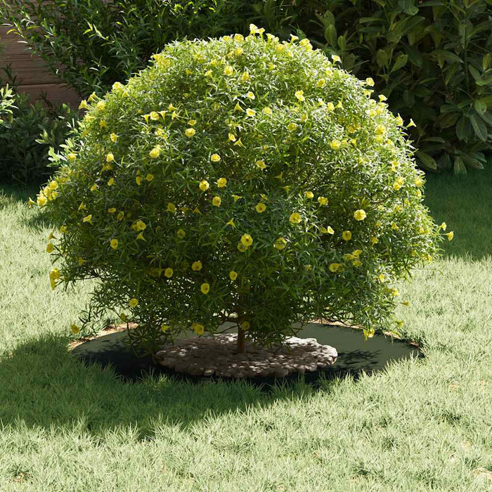 Anello piatto per albero Oliver verde Ø30 / 60 cm Acciaio 873668