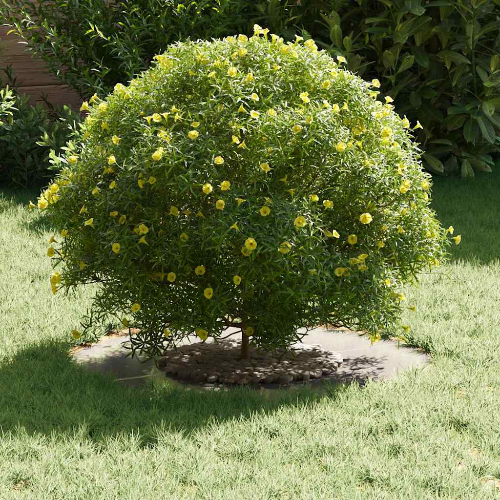 Anelli di Albero Piatto 5 pcs Argento Ø30 / 60 cm 873671