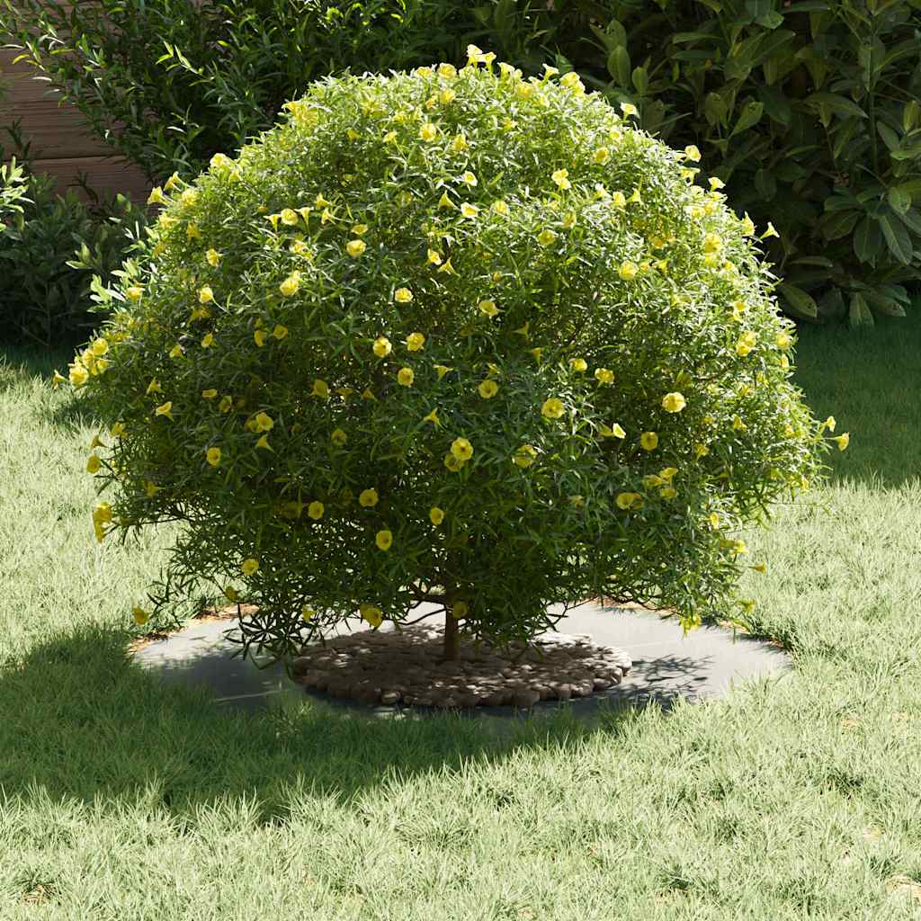 Anelli di Albero Piatto 5 pcs Argento Ø30 / 60 cm Acciaio zincato 873673