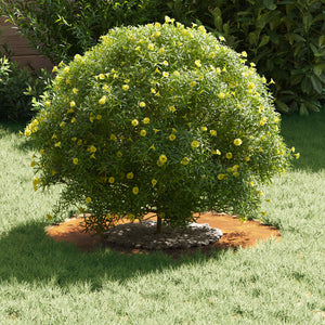 adatto per Anelli d'Albero Piatto 5 pcs Marrone Ø30 / 60 cm 873675