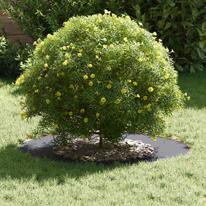 Anelli di Albero Piatto 5 pcs Antracite Ø40 / 70 cm Acciaio 873681