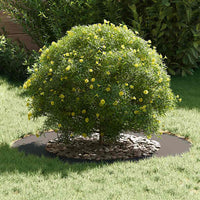 Anello piatto per albero Nero Ø50 / 80 cm Acciaio 873690