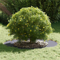 Anello piatto per albero Antracite Ø50 / 80 cm Acciaio 873694