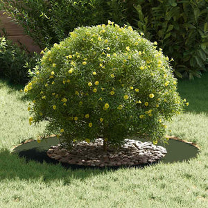 Anello piatto per albero Oliver verde Ø50 / 80 cm Acciaio 873696