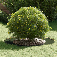 Anelli di Albero Piatto 5 pcs Oliver verde Ø30 / 60 cm Acciaio 873697