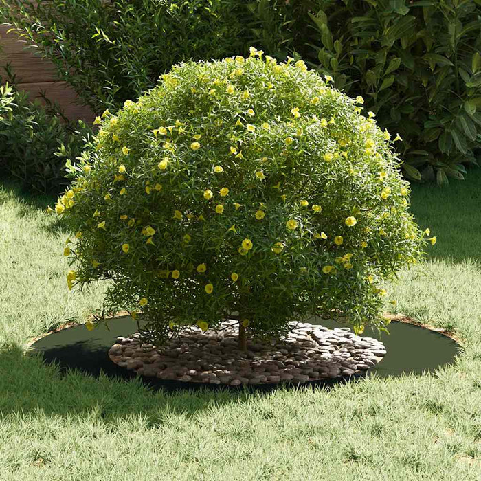 Anelli di Albero Piatto 5 pcs Oliver verde Ø30 / 60 cm Acciaio 873697