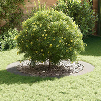 Anello piatto per albero Argento Ø90 / 120 cm 873726