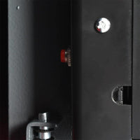 Cassaforte elettronica digitale con blocco per impronte digitali 20x31x20 cm in acciaio 42011310