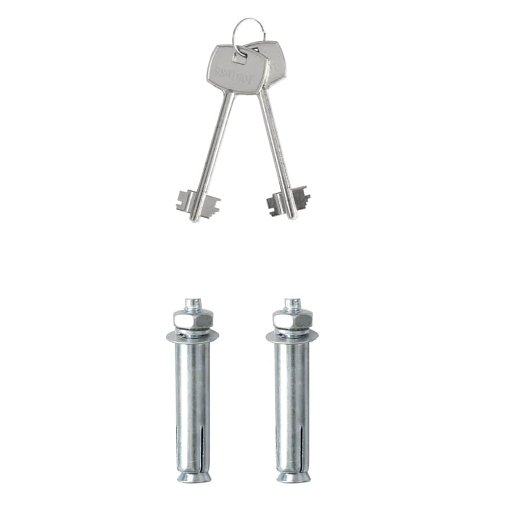 vidaXL Cassaforte Grigio scuro RAL7016 17 x 23 x 17 cm Acciaio