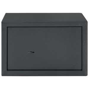 Cassa Sicura con Serratura a Chiave Grigio Scuro 20 x 31 x 20 cm Acciaio 42011314