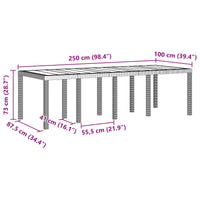 Tavolo da Pranzo da Giardino Antracite 250 x 100 x 73 cm 3378516